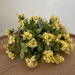 Bouquet of yellow flowers on a wooden surface