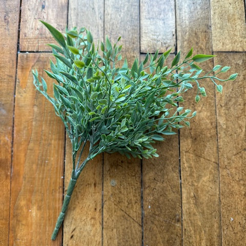 14" Baby Tears Bush