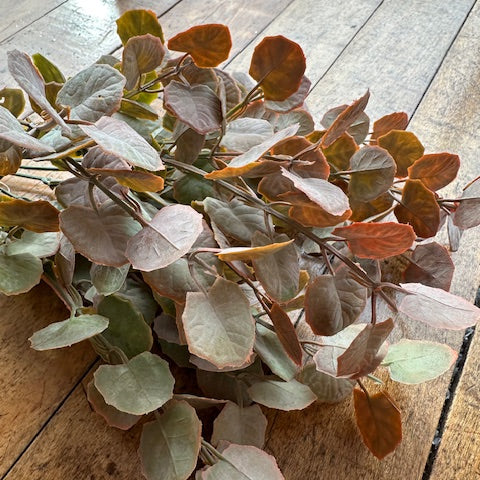 Rust Poplar Leaf Bush